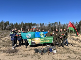 Гродненское агентство приняло участие в республиканской акции «Дай лесу новае жыццё»